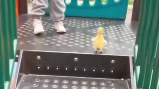 So Cute1