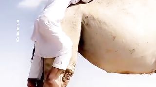 اتنا پیار کرو جتنا برداشت کرسکتے ہو