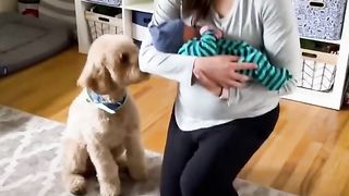 Amusement du jour