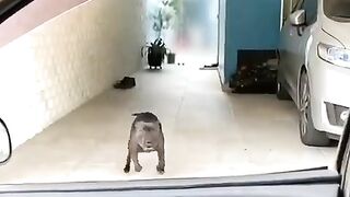 Coming home and getting a welcome like this is priceless :)