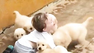 Baby and dog 2