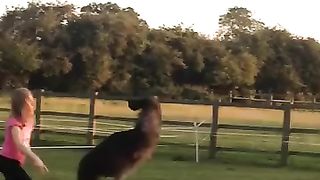 Happy day enjoying emu