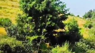 My village 13