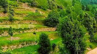 Wade Terah Khyber Agency beautiful place to good looking for the tree