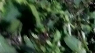 Animals lovers 83