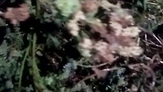Animals lovers 84