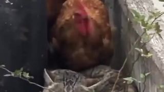 Awwww..
