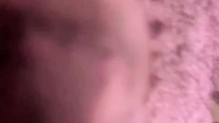 Cute cat funny video....