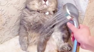Cleaning time....!