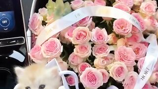 How sweet....!