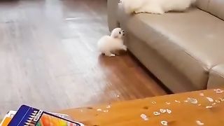 Wants mommy....!