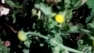 Animals lovers 85