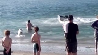 Funny | Beach Cowboy Chronicles: Yeehaw by the Seashore! | FunFM