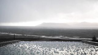raning & ice