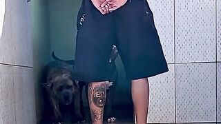 #beautifuldogs#dogs#SAMA28#funny