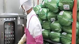 Amazing scale! Korean Kimchi Mass Production