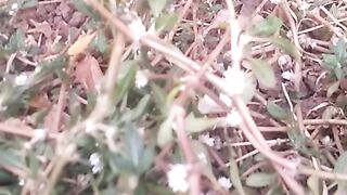 Animals lovers 87