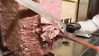 Delicious shawarma