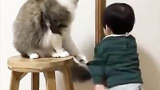 The cute cat prevents the little boy from opening the door and going out ????????