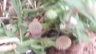 Animals lovers 91