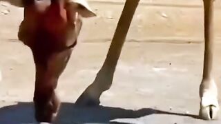 ????️????????????????