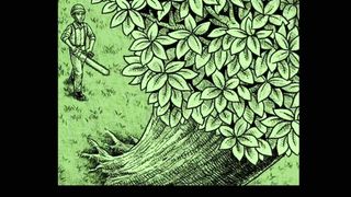 cerita horor ( pohon di hutan )