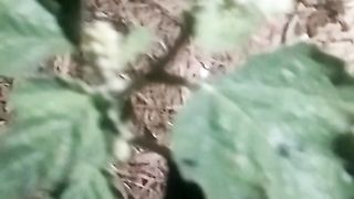 Animals lovers 94
