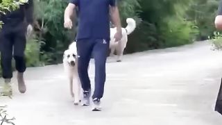 Imran khan ❤️❤️❤️