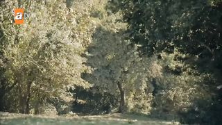 Kurluse Osman Season 5 Episode 1 in urdo.