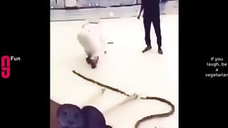 TRY NOT TO LAUGH???? Best Funny Videos Compilation ???????????? Memes PART 2