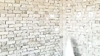 Dengar dogi