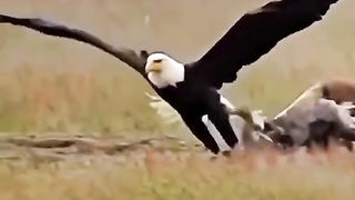 nature is scary.
