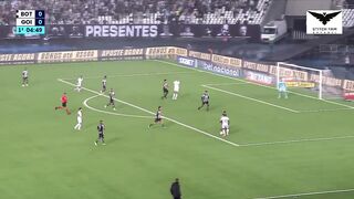 【HIGHLIGHTS】 Botafogo FR x Goias | Brasileirão Série A 2023