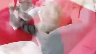 Funny baby 52