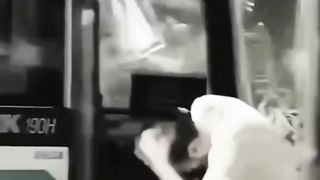 TRY NOT TO LAUGH-Funny Moment Edits on Tiktok 2023????????