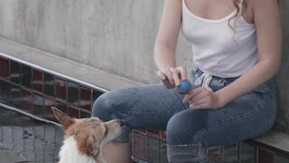 "Un chien qui fait rire : Les moments les plus drôles" 2