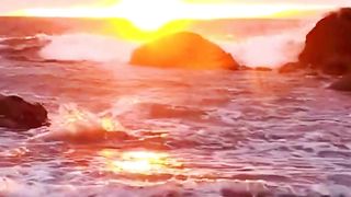 Beautiful nature 113