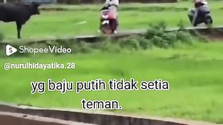 Video ???????????? 2