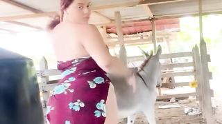 donkey lover