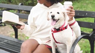"Le charme irrésistible de LILI : Moments adorables"