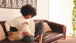 "Le chien le plus mignon du quartier : ROOCKS"