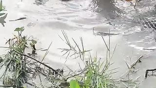 Fishing 30