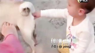 Funny video