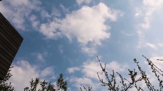 Starlink_Satellites_train_seen_in_the_sky__LOW_PASS_Elon_Musk_SpaceX