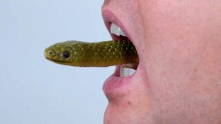 SNAKE IN MOUTH