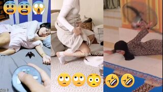 a collection of funny videos to make the brain travel