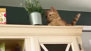 Чтобы не расслаблялись