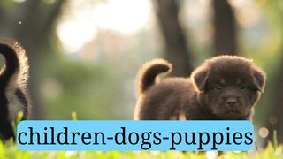 children-dogs-puppies-friends-funny-dog