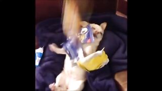 Memes that are funny as hell????????