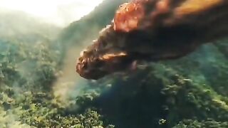 Watch! Funny Video 2022